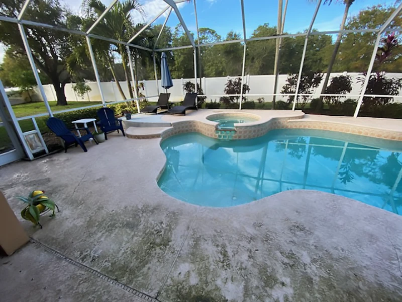 Pool area with lounge chairs and plants