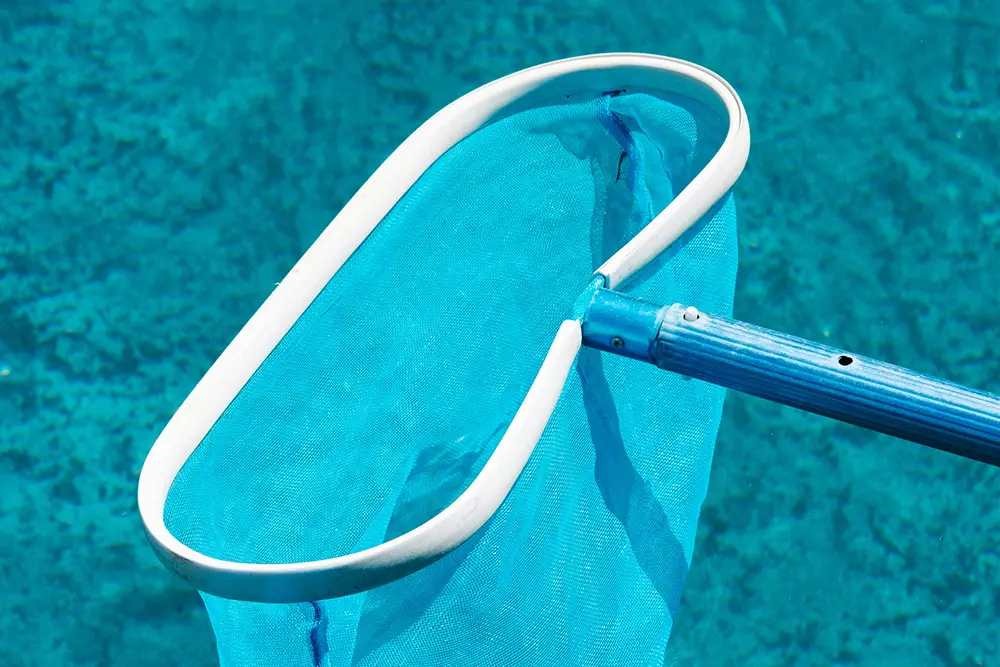 A pool skimmer net